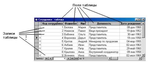 Базы данных и таблицы