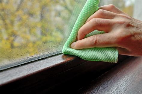 Влажность в помещении: 10 способов снизить ее