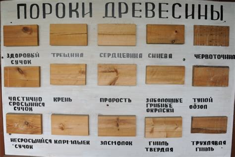 Влияние сорта доски на качество и применение изделий