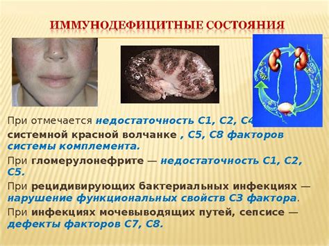 Влияние состояния здоровья на определение возраста сфинкса