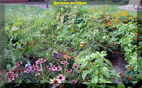 Вопросы, волнующие читателей