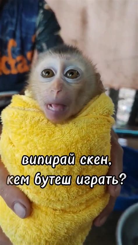 Выбор готового скина