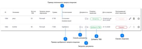 Выбор и оплата лицензии