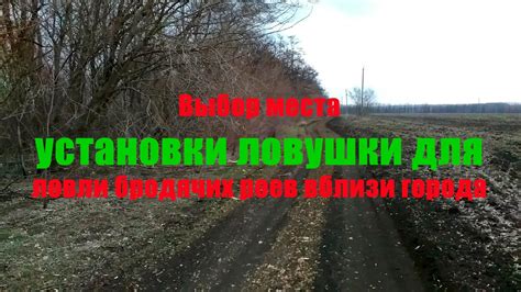Выбор места для ловушки