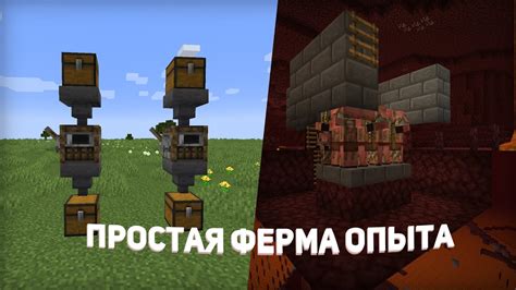 Выбор места для фермы опыта