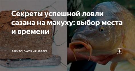 Выбор места и времени для ловли