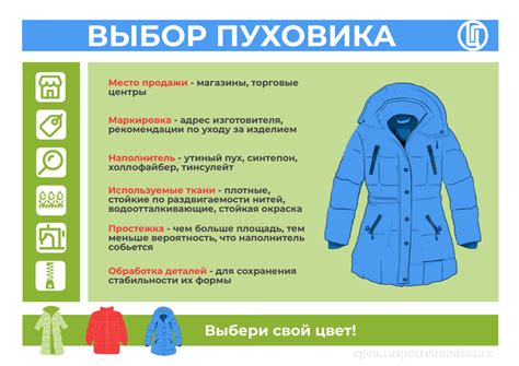 Выбор подходящего пуховика