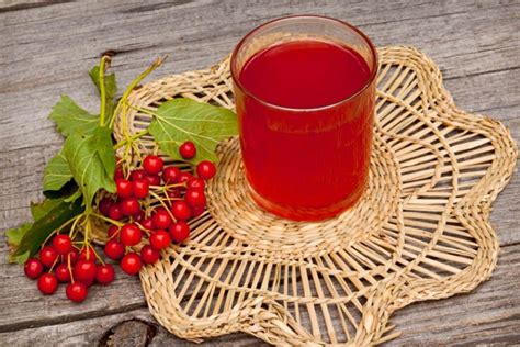 Выбор правильной калины для сока