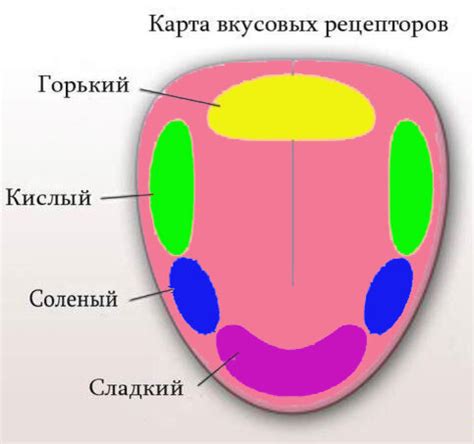 Выбор языка и временной зоны