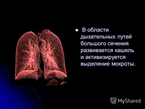 Выделение области сечения