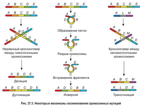 Генетические модификации для увеличения мутаций