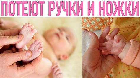 Добавим руки и ноги