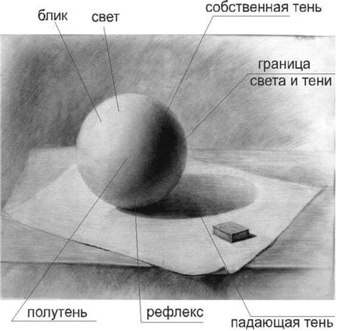 Закрепление теней и светотени