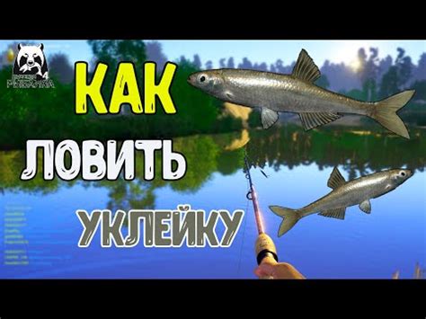 Замена спуска поплавка в Русской рыбалке 4