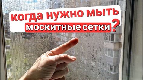 Замена чистой сетки: когда это необходимо и как выбрать