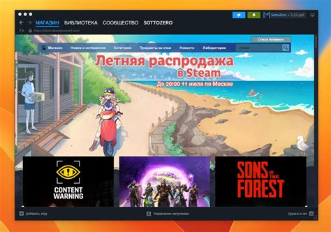 Запуск второго клиента Steam на ПК