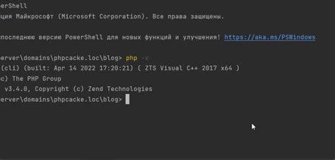 Запуск игры и открытие консоли разработчика