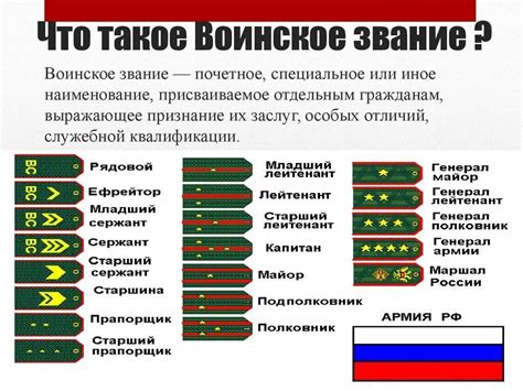 Звание и роль коня в армии