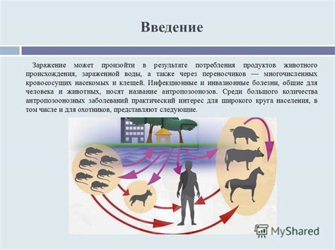Избегайте зараженной воды и существ