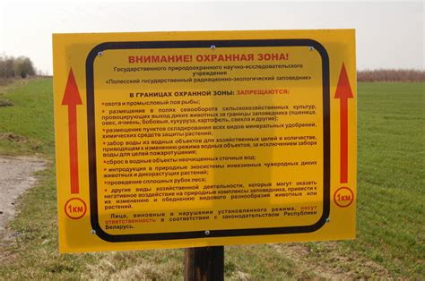 Избегание зараженных территорий