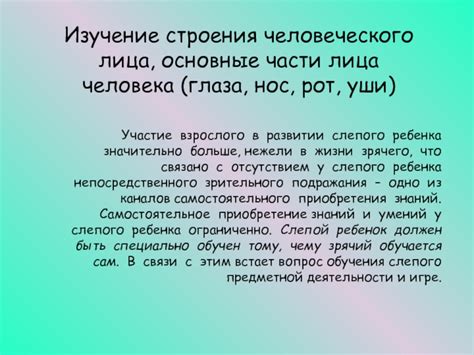 Изучение деталей лица: глаза, нос, рот