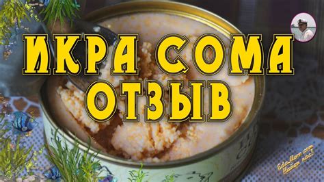 Икра сома: ингредиенты и приготовление