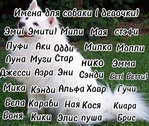 Имя для потрясающего веролома