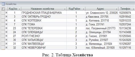 Информация о базе данных оператора