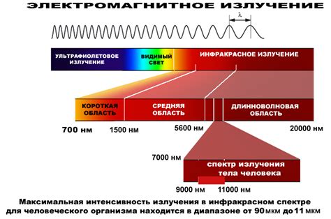 Инфракрасные волны: суть и применение