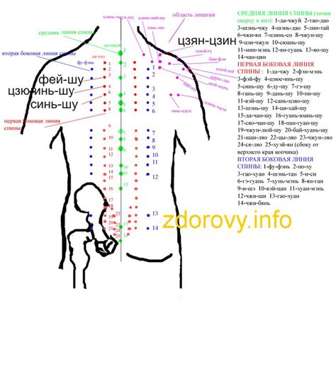 Использование аккупунктурных карт
