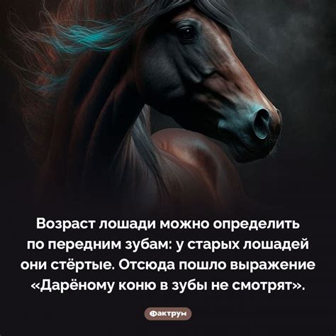 Использование двухщелевой пряжки: советы и рекомендации