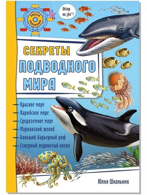 Исследование подводного мира для поиска подсказок