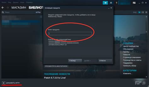 Как активировать FIFA 23 в Steam без интернета