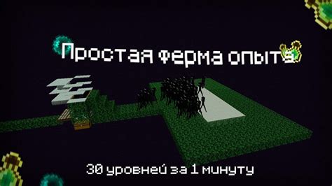 Как выбрать ферму опыта в Аду