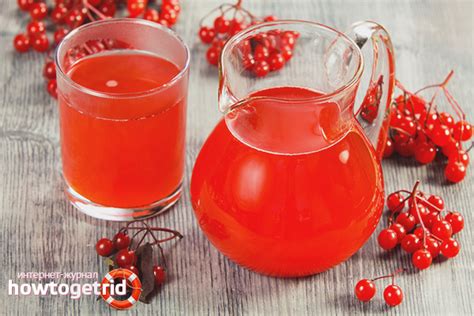 Как выжимать сок из калины: секреты рецептов и полезные советы