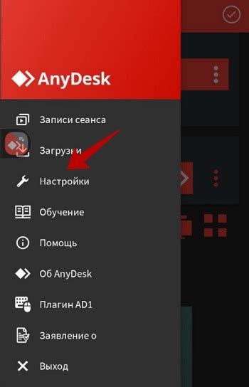 Как запустить AnyDesk без установки