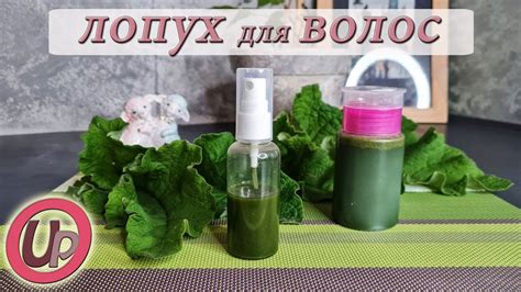 Как использовать жмых лопуха в косметических целях