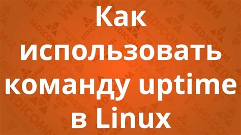 Как использовать команду /kill