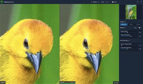 Как использовать Topaz Mask AI для маскировки изображений
