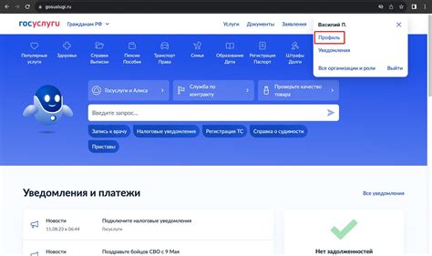 Как настроить плагин Госуслуги в браузере Opera