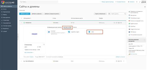 Как настроить DNS для домена: инструкция