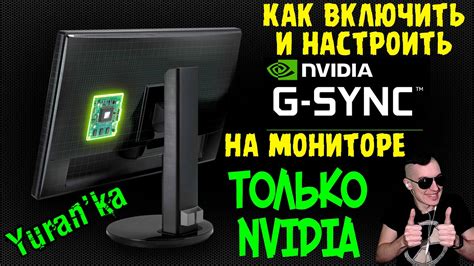 Как настроить G-Sync на мониторе MSI: пошаговая инструкция