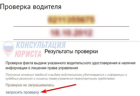 Как проверить лишение матерью родительских прав через онлайн-сервисы ПФР