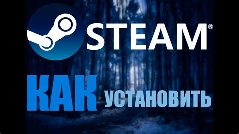 Как скачать и установить второй клиент Steam