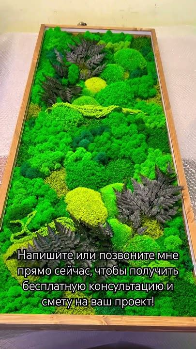 Конечные шаги и дополнительные рекомендации для получения идеального результата