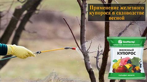 Лыко в садоводстве