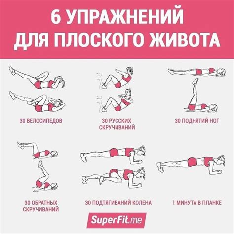 Место установки пахучки: лучшие варианты