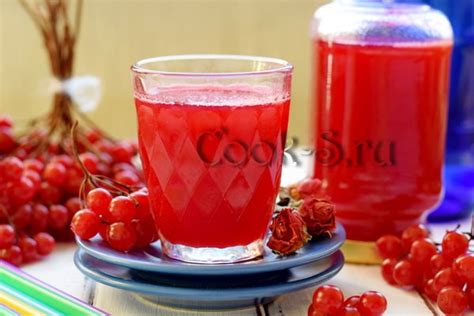 Методы выжимания сока из калины