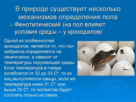 Методы определения пола в природе