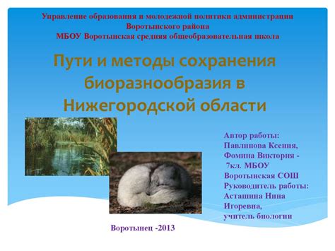 Методы сохранения соли